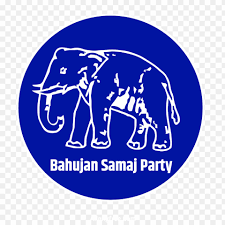 Party Flag